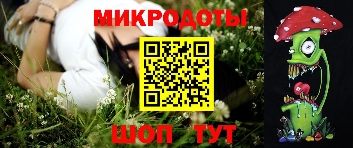 Псилоцибиновые грибы Psilocybe Вольск