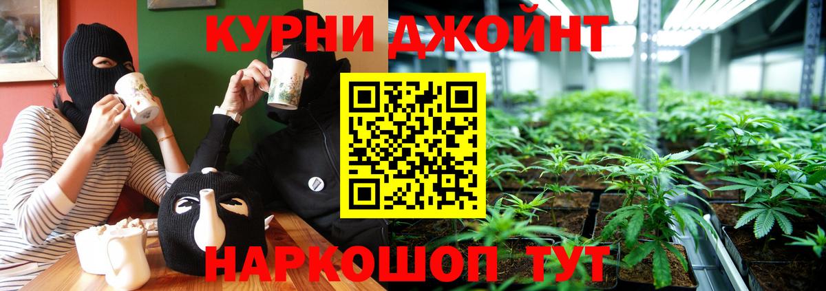 МАРИХУАНА план  Вход с VPN  Конопля конопля  Вольск 